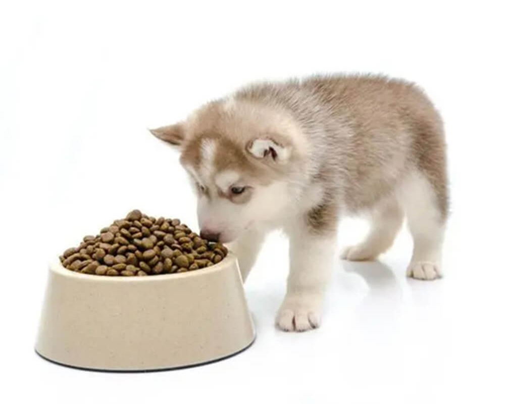 Pet feed & fertilizer