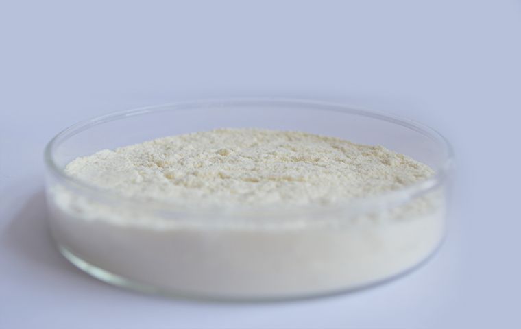 Effects of collagen peptides on skin