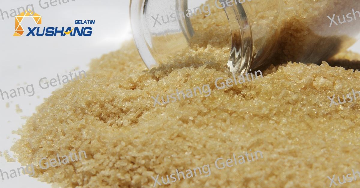 Detailed Analysis of Gelatin's Applications in Pharmaceutical Capsules