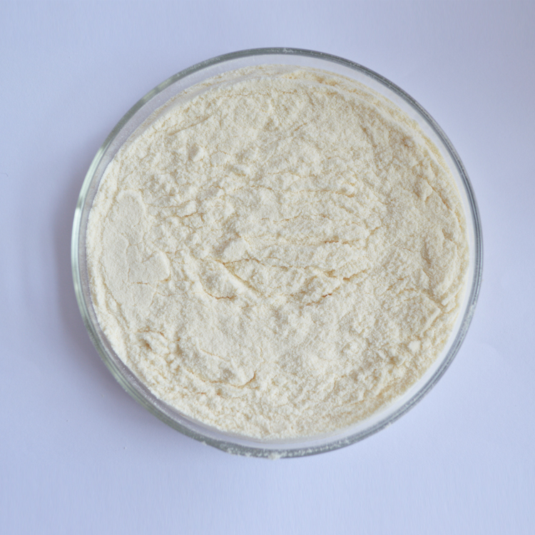 Amino Acid Peptide(Powder)